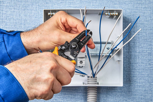 Best Industrial Electrical Services  in Rogersville, MO